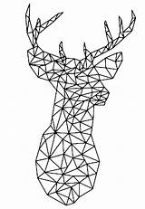 Deer Coloring Pages Deers Straight Vectorial Lines Only Adult Adults Drawn Triangle Ll Also These Justcolor sketch template