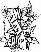 Coloring Alaska State Flowers Pages Forget Drawing Line Flower Alabama Kids Clipart sketch template