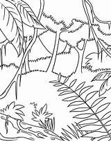 Rainforest Jungle Coloring Pages Easy Drawing Rain Trees Forest Draw Drawings Plants Animals Themed Color Kids Preschoolers Tropical Getcolorings Getdrawings sketch template