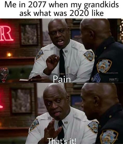 pain  meme   year