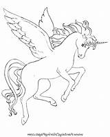 Pegasus Coloring Pages Unicorn Unicorns Getcolorings Cool Color Getdrawings Adults Pag Colorings sketch template