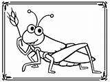 Grasshopper Gafanhoto Moldes Poplembrancinhas sketch template