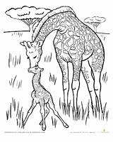 Giraffe Coloring Pages Printable Kids Bestappsforkids sketch template