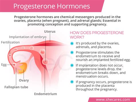 normal progesterone levels
