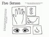Senses Five Coloring Printable Pages Preschool Sinne Clipart Kindergarten Unit Sense Worksheets Printables Science Board Worksheet Kids Teach Popular Toddler sketch template