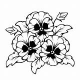 Pansy Flowers Vector Violet Coloring Drawing Pages Line Illustration Contour Flower Tattoo Color раскраски Background категории из все Simple sketch template