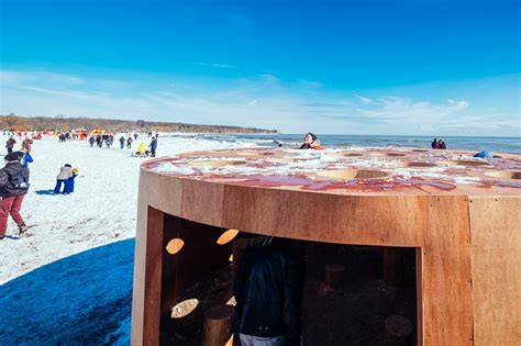 in photos the 2019 winter stations art installations