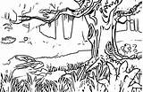 Coloring Pages Forest Animals Brilliant Birijus sketch template