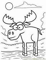 Moose Mooose Coloring Printable Eye Big Pages Animals Online Color sketch template