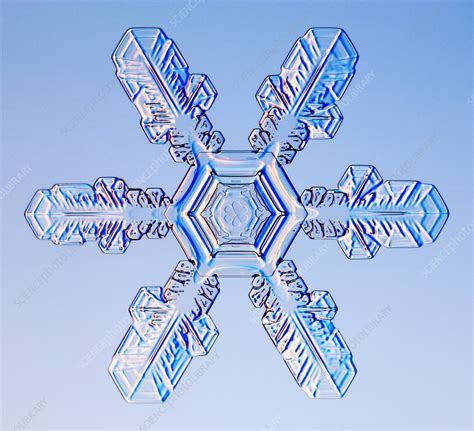 snowflake stock image  science photo library