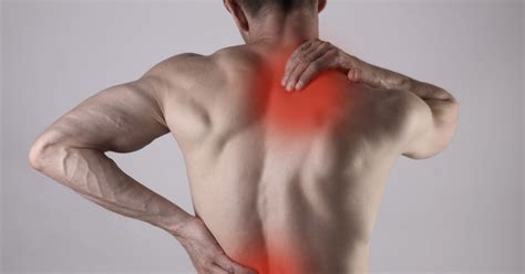 types  pain part  muscular pain moyer total wellness