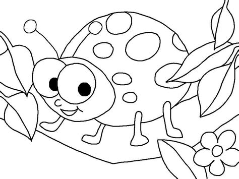 coloring pages  ladybug print color craft