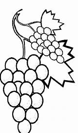Grapes Coloring Pages Fruits Sweet Favorite Vine Color Printable Print Getcolorings sketch template