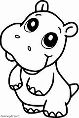 Hippo Coloring Pages Baby Cute sketch template