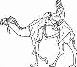 Camel Bedouin Cartoon Caravan Riding Getdrawings Drawing Dreamstime Illustration Illustrations Color Vectors Clipart Stock Draw sketch template