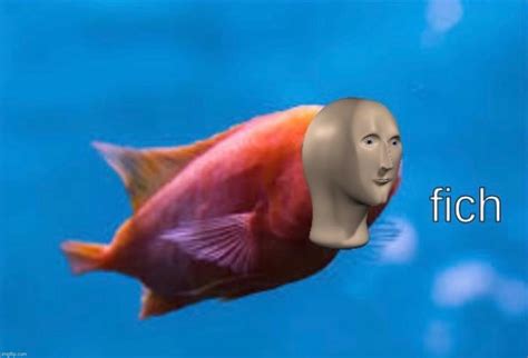 image tagged  meme man fish imgflip