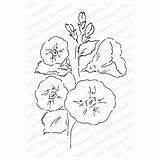 Cling Hollyhock Stamp sketch template