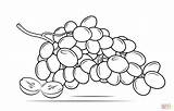 Grapes Coloring Drawing Raisins Bunch Grape Pages Printable Clipart Line Collection Drawings Color Some sketch template