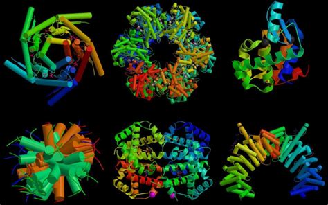 Concepto Y Funciones De Proteínas Y Enzimas Biología