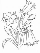 Flower Bellflower Bordado sketch template
