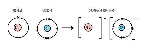 bonding  structure  science sauce