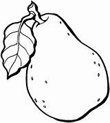 Pear Coloring Categories Clipart sketch template