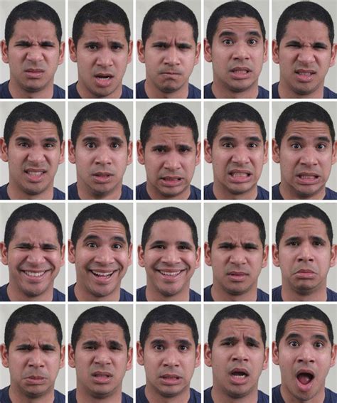 feeling disgustedly surprised scientists identify 21 facial
