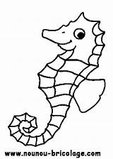 Hippocampe Seepferdchen Marins Colorat Caluti Caballitos Seahorse Animale Coloriages Marinos Colorier Mer Calut Animados Albumdecoloriages Hippocampes Desen Voturi Vizite Plansa sketch template