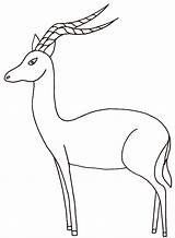 Impala Coloring Pages Animal Drawing Animals Antelope Color Printable Colouring Drawings Print Sheet Simple Animaux Designlooter Sauvages Getdrawings African Badge sketch template
