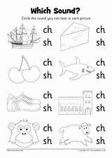 Sh Ch Worksheets Sound Kindergarten Sparklebox Blends Words Phonics Pdf Preschool Worksheet Th Which Printable Digraph Learning Activities English Initial sketch template