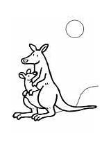 Coloring Kangaroo Australia Pages Joey Kids Book Kangaroos Animal Drawing Ws sketch template