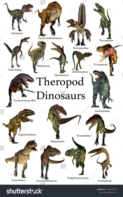 theropod dinosaurs  illustration collection set stock illustration