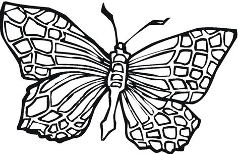 exclusive photo   butterfly coloring pages entitlementtrap