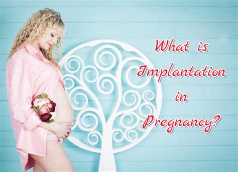 What Is Implantation In Pregnancy