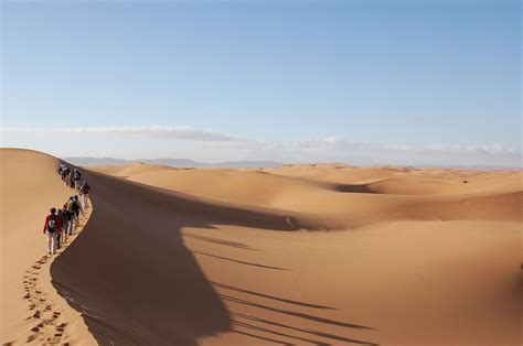 sahara desert facts  information
