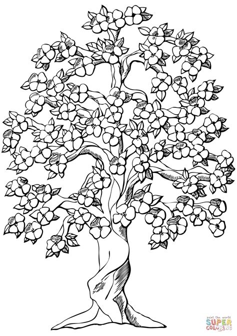 cherry blossom fans pages coloring pages
