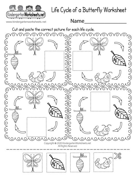 printable butterfly life cycle worksheet  coloring pages cf