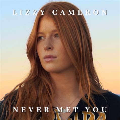 never met you single by lizzy cameron spotify