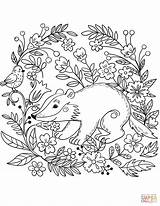 Coloring Badger Pages Animals Seal Ringed Forest Printable Dot Super Supercoloring sketch template