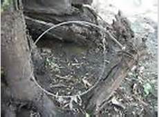 Survival snares, trapping, All in one supports/anchor s/snare, rabbit