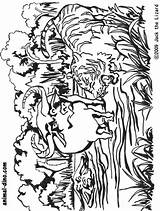 Coloring Buffalo Water Print Pages Tiger Animal Bills Kids Indian Head Color Drawing Getcolorings 71kb Getdrawings Size Helmet sketch template