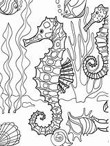 Coloring Pages Sea Under Underwater Seahorse Dover Adult Colouring sketch template