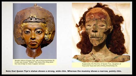 Ancient Egyptian Mummies Blond Hair Dna Cry Out True