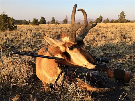 kens  warner unit antelope hunt oregon bwana bubba adventurers