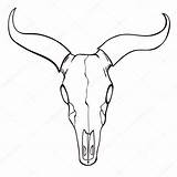 Drawing Bull Skull Cow Longhorn Drawings Skeleton Horns Bone Clipartmag Cattle Desert sketch template