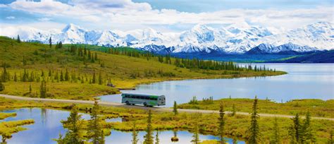 denali national park bus tours alaskatravelcom