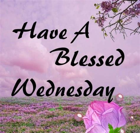 blessed wednesday pictures   images  facebook