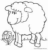 Sheep Coloring Pages Animal Color Sheets Found Printable sketch template