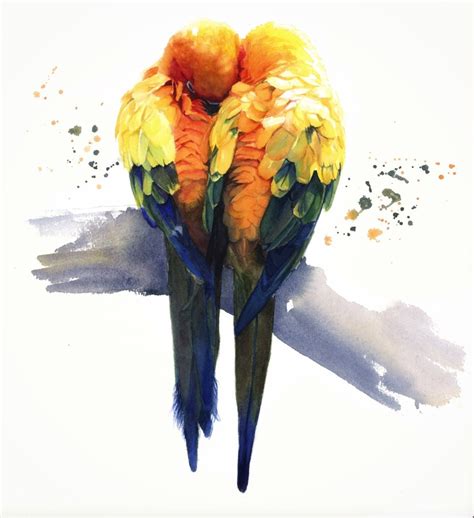 Watercolour Love Birds Using Wet Into Wet And Layering Techniques