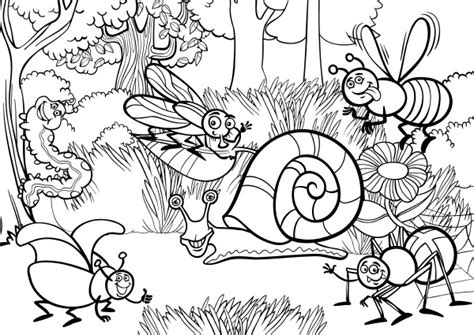 cartoon insects  coloring book royalty  photo